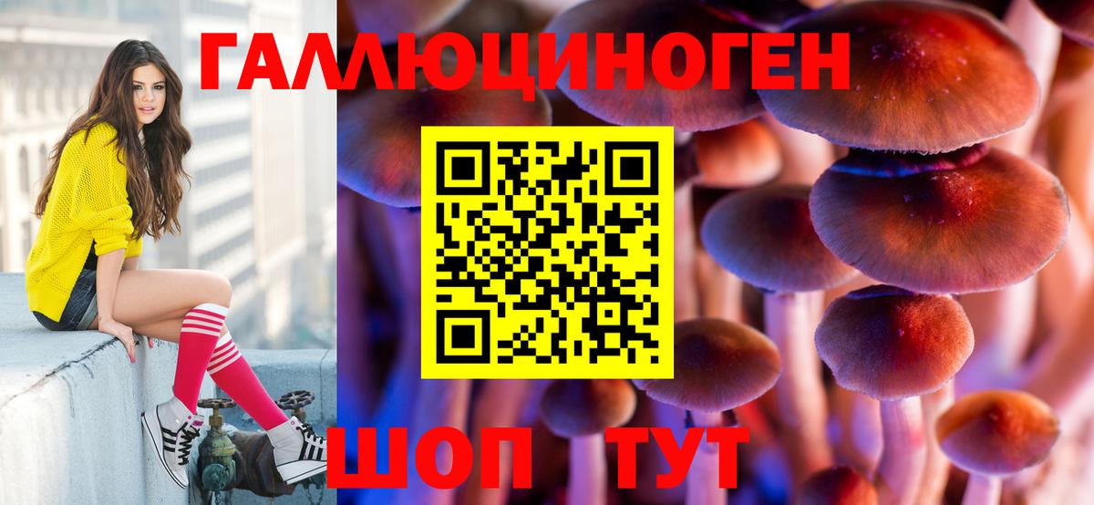 Галлюциногенные грибы MAGIC MUSHROOMS Будённовск